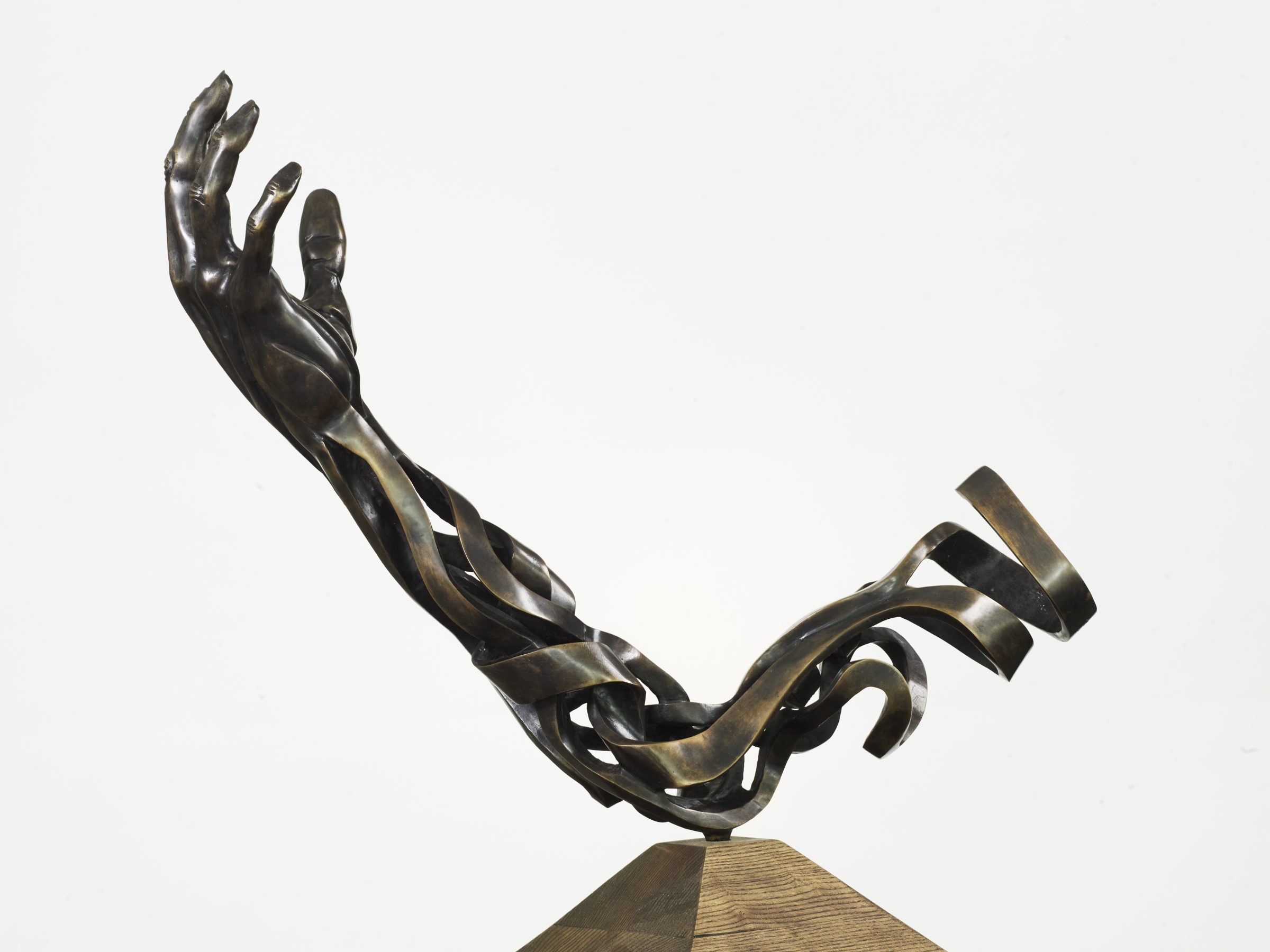 Sculpture Arm